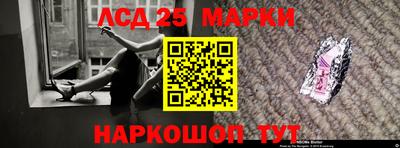 шишки Заволжье