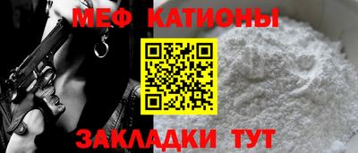шишки Заволжье