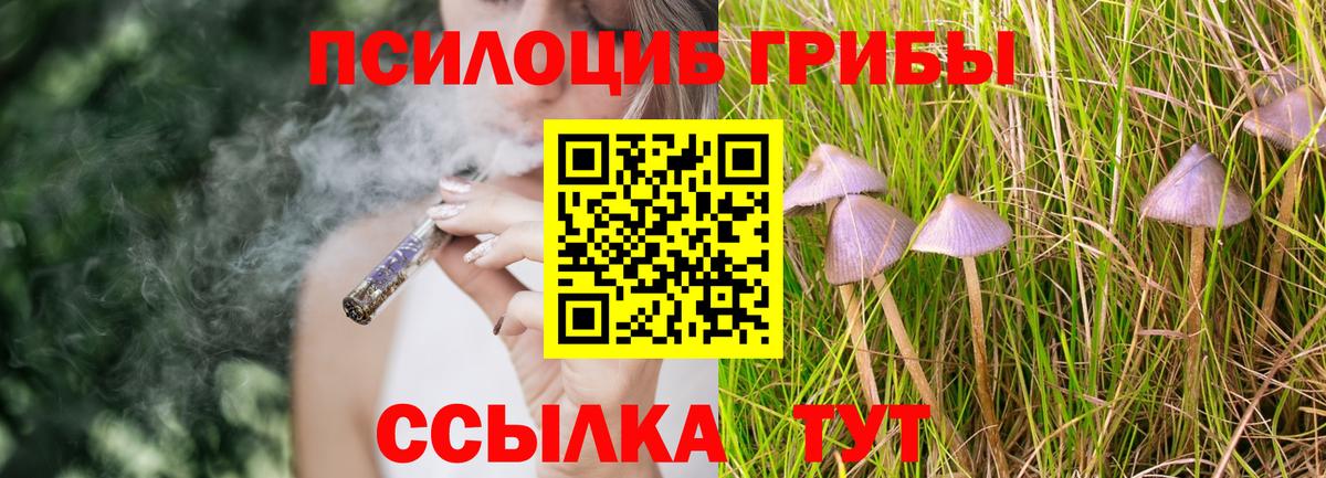Миасс  Галлюциногенные грибы Psilocybe  Вход с VPN 